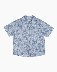 SS PALM LEAVES BD