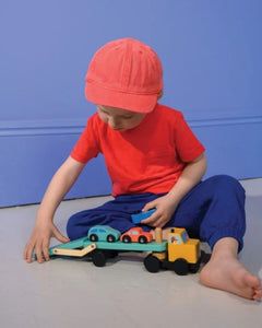 VEHICLE TRANSPORTER (3Y+)