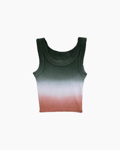 DIP DYE LIVI 2 TANK