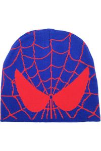 BOYS SPIDER HAT - 4_6Y