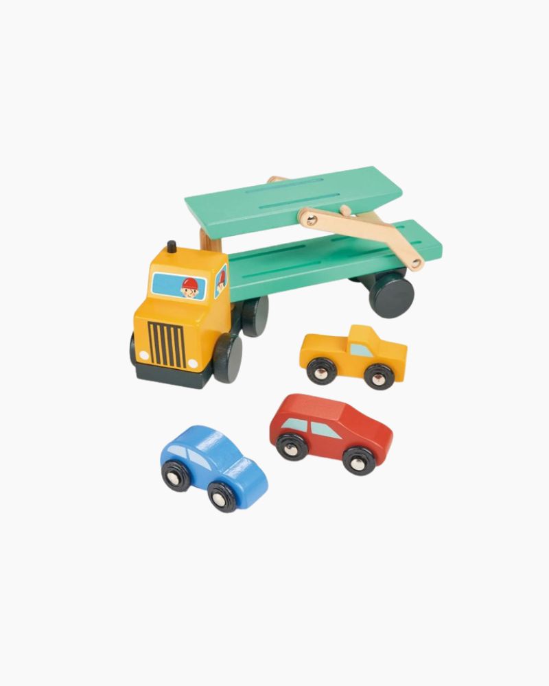 VEHICLE TRANSPORTER (3Y+)