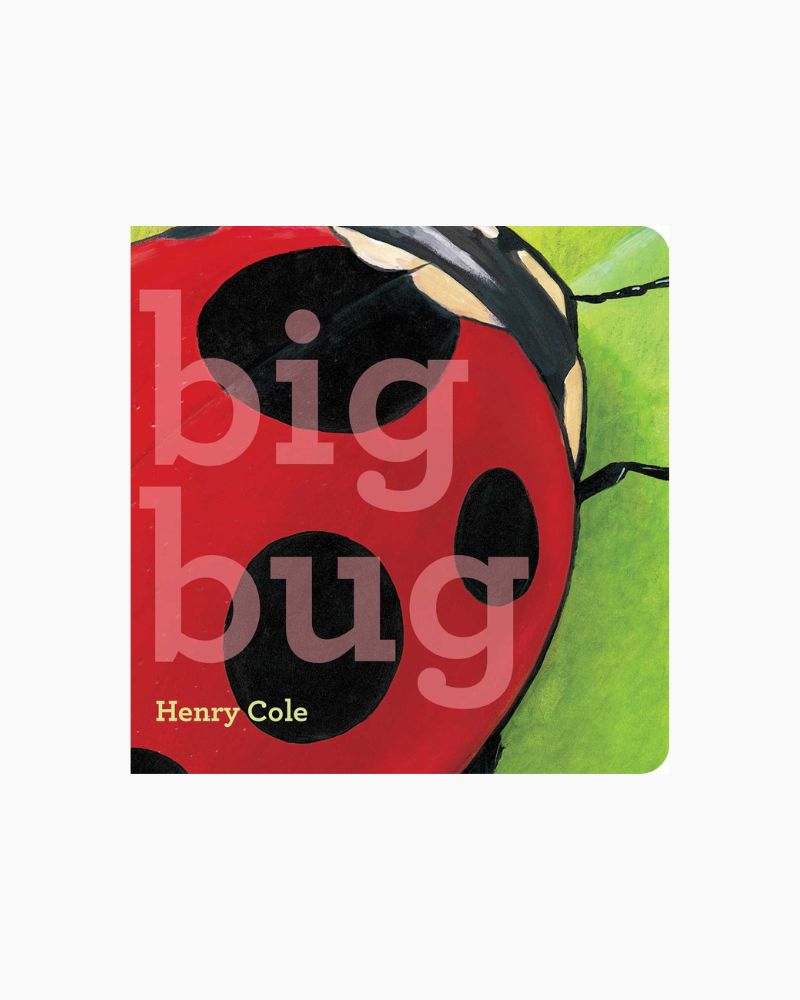 BIG BUG BOOK