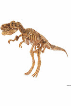 Load image into Gallery viewer, DIG IT UP T-REX SKELETON (8+)

