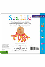 Load image into Gallery viewer, ALPHAPRINTS: SEA LIFE
