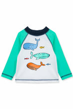 Load image into Gallery viewer, LS WHALE RASHGUARD/TRUNK SET
