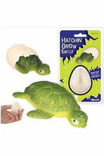 HATCH & GROW TURTLE